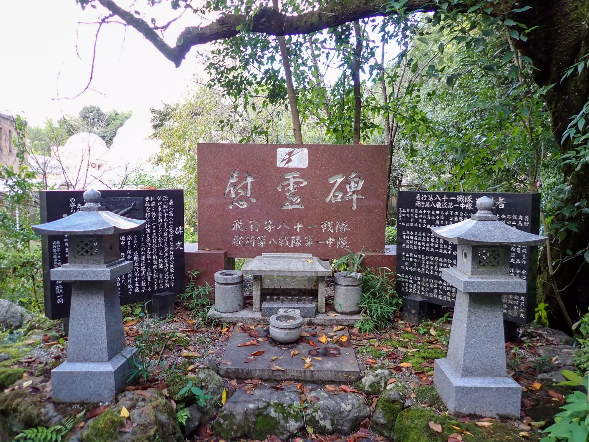 飛行第八十一戦隊、飛行第八戦隊第一中隊